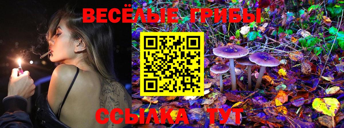 Галлюциногенные грибы ЛСД Коммунар