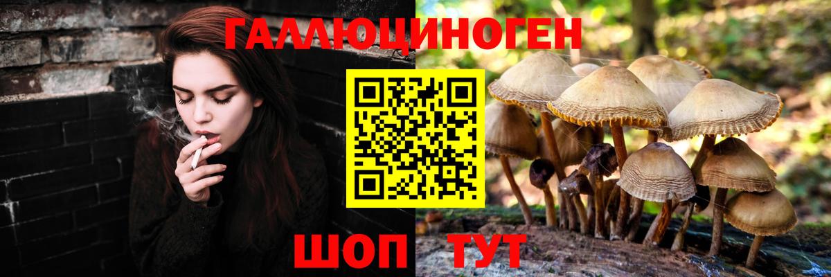 Коммунар  Галлюциногенные грибы Psilocybe  Вход с VPN 