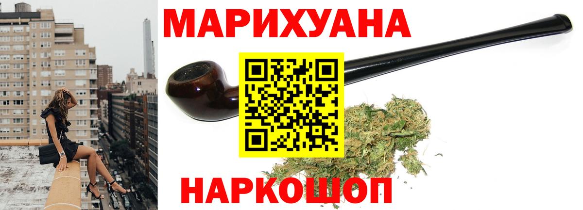 Каннабис планчик  Вход с VPN  Коммунар  Марихуана сатива  Каннабис индика 